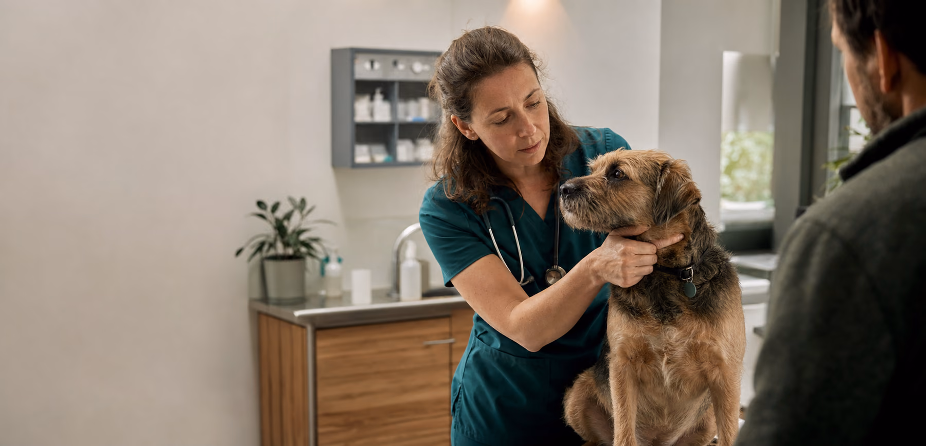 Veterinár vyšetruje pokojného psa v modernej ambulancii